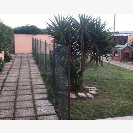 Giorgia Airport 2 Fiumicino Bed & Breakfast エクステリア 写真